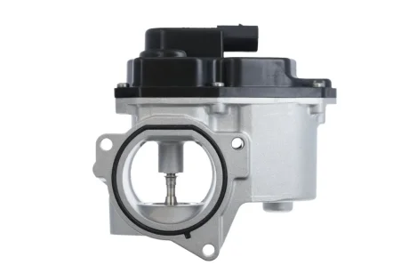 Клапан EGR рециркуляції газів VOLKSWAGEN Golf (вир-во) Valeo 700424