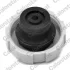 Кришка радіатора охолодження OPEL; SAAB (вир-во) Vernet RC0008 (фото 2)