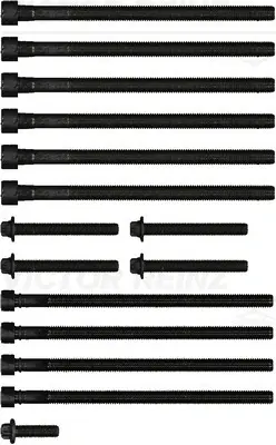 Болти головки (к-кт 15шт.) BMW X3 (F25)/X4 (F26) 11-, N20/N26 REINZ VICTOR REINZ 14-10010-01 (фото 1)