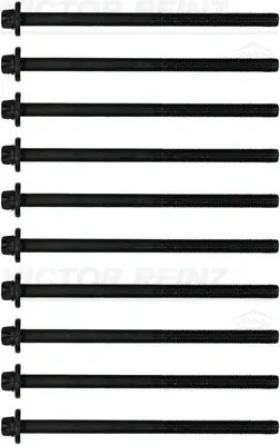 Болти головки (к-кт 10шт.) BMW 3 (E90/F30/F80/G20/G80)/5 (E60/F10/G30/F90)/X5 (F15/F85) 03- N47 D20 REINZ VICTOR REINZ 14-10398-01 (фото 1)