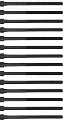 Комплект болтів гбц (14шт) BMW 3 (F30/F80)/5 (G30/F90)/X3 (G01/F97) 15- B46/B48 REINZ VICTOR REINZ 14-12261-03 (фото 1)
