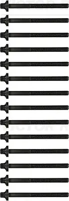 Болти головки (к-кт 14шт.) BMW 3 (E46)/5 (E36/E60/E61) 90- (L=147mm) M57 D30 REINZ VICTOR REINZ 14-32004-01 (фото 1)