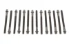 Болти головки (к-кт 14шт.) BMW 3 (E46)/5 (E36/E60/E61) 90- (L=110mm) M52 REINZ VICTOR REINZ 14-32101-01 (фото 1)