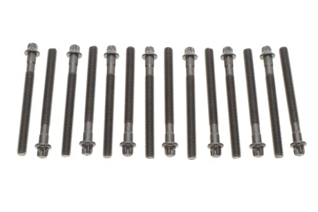 Болти головки (к-кт 14шт.) BMW 3 (E46)/5 (E36/E60/E61) 90- (L=110mm) M52 REINZ VICTOR REINZ 14-32101-01