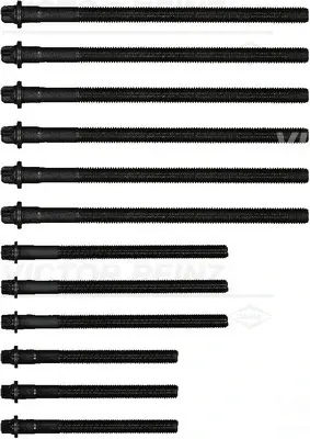 Болти головки (к-кт 12шт.) BMW 3 (E90)/5 (E60)/X3 (E83) 03-15 N43/N45/N46 REINZ VICTOR REINZ 14-32310-01 (фото 1)