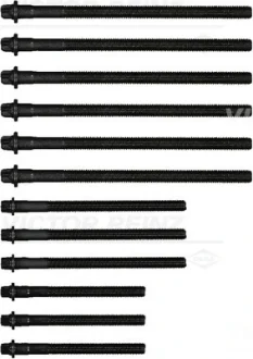 Болти головки (к-кт 12шт.) BMW 3 (E90)/5 (E60)/X3 (E83) 03-15 N43/N45/N46 REINZ VICTOR REINZ 14-32310-01