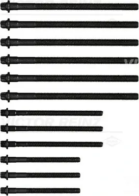 Болти головки (к-кт 12шт.) BMW 1(E87)/3 (E46/E91)/5 (E60)/X3 (E83) 1.6/1.8/2.0 00-12 N40/N42/N45/N46 REINZ VICTOR REINZ 14-32314-01 (фото 1)