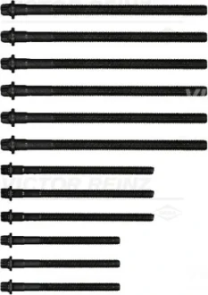 Болти головки (к-кт 12шт.) BMW 1(E87)/3 (E46/E91)/5 (E60)/X3 (E83) 1.6/1.8/2.0 00-12 N40/N42/N45/N46 REINZ VICTOR REINZ 14-32314-01