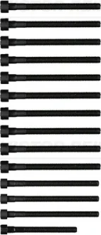 Болти головки (к-кт 14шт.) BMW X3 E83/X5 E70/130i/E81/330i E92 N52 3.0 04-, N51-N53 REINZ VICTOR REINZ 14-32315-01
