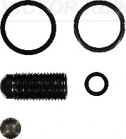 Ремкомплект форсунки VW Passat 2.0 TDI 05-10 REINZ VICTOR REINZ 15-42119-01