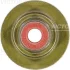 Сальник клапана (впуск/випуск) Opel Astra G/H/J/Corsa D/Vectra C 1.6/1.8 00- (5x7.8/23x15.5) REINZ VICTOR REINZ 70-36613-00 (фото 1)