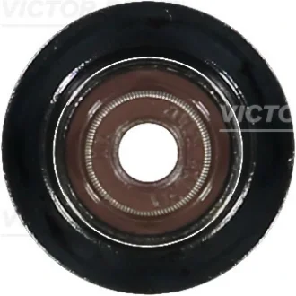 Сальник клапана (впуск/випуск) BMW 5 (G30/F90) 17- B48 B16 REINZ VICTOR REINZ 70-36866-00