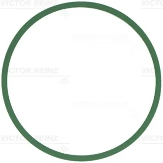 Прокладка впускного колектора BMW 3 (F30/F80)/5 (G30/F90)/7 (G11/G12) 15- B46/B48/B58 REINZ VICTOR REINZ 71-12439-00