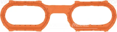 Прокладка колектора впускного BMW X5 (E53) 00-03, M62 REINZ VICTOR REINZ 71-31853-00