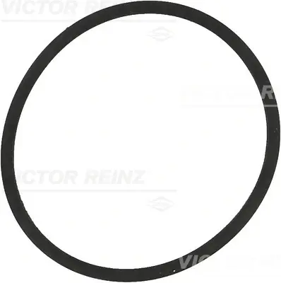 Прокладка колектора впускного VW Caddy 1.2-1.4 TSI 00- REINZ VICTOR REINZ 71-34204-00 (фото 1)