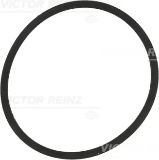 Прокладка колектора впускного VW Caddy 1.2-1.4 TSI 00- REINZ VICTOR REINZ 71-34204-00