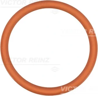 Прокладка колектора впускного Citroen Berlingo/Nemo/Peugeot Partner 1.4 96-15 REINZ VICTOR REINZ 71-35247-00
