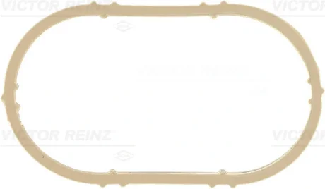 Прокладка колектора впускного Renault Kangoo 1.6/Trafic 2.0 01-, F4P/K4M REINZ VICTOR REINZ 71-36182-00