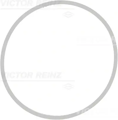 Прокладка колектора впускного BMW 5 (E60)/6 (E63)/7 (E65)/X5 (E70) 05- N62 B40/N62 B48 REINZ VICTOR REINZ 71-39409-00 (фото 1)