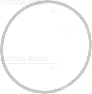 Прокладка колектора впускного BMW 5 (E60)/6 (E63)/7 (E65)/X5 (E70) 05- N62 B40/N62 B48 REINZ VICTOR REINZ 71-39409-00