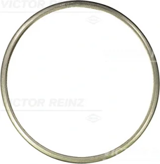 Прокладка труби вихлопної BMW 3 (E90/F30/F80)/5 (F10)/7 (F01-F04) 05- N57 D30 REINZ VICTOR REINZ 71-41329-00