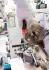 Викрутка PH1 80 мм VIGOR V1703 (фото 3)