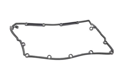 Прокладка кришки клапанів VW Caddy/T5 1.9TDI 03- VIKA Vika 11030427901