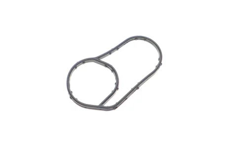 Прокладка термостата Audi A1/A3/VWPassat/Golf/Touran/Skoda Octavia 1.4/1.6 02- VIKA Vika 11211868201