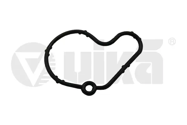 Прокладка насосу вакуумного VW Golf IV/Caddy II 95-/Skoda Fabia 1.9SDI/TDI 95-07 VIKA Vika 61450807001 (фото 1)