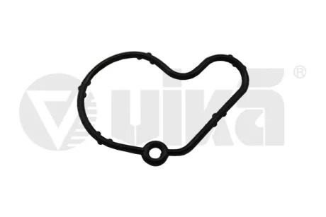 Прокладка насосу вакуумного VW Golf IV/Caddy II 95-/Skoda Fabia 1.9SDI/TDI 95-07 VIKA Vika 61450807001