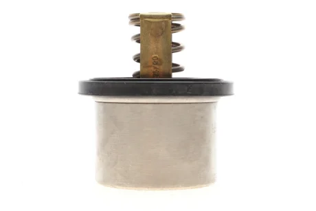 Термостат BMW 5 (E60)/6 (E63) 5.0i 04-10 4619.80 WAHLER 4619-80