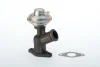 Клапан EGR Cirtroen Berlingo/Fiat Scudo 2.0JTD/HDI 99- WAHLER 710922D (фото 1)