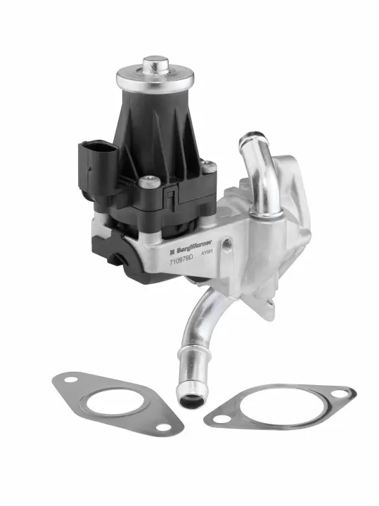 Клапан EGR Peugeot Boxer/Fiat Ducato/Citroen Jumper 2.2HDI 06- WAHLER 710979D (фото 1)