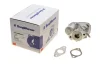 Клапан EGR Fiat Ducato 2.2D Multijet/Ford Transit 2.2TDCI 06- WAHLER 711022D (фото 1)