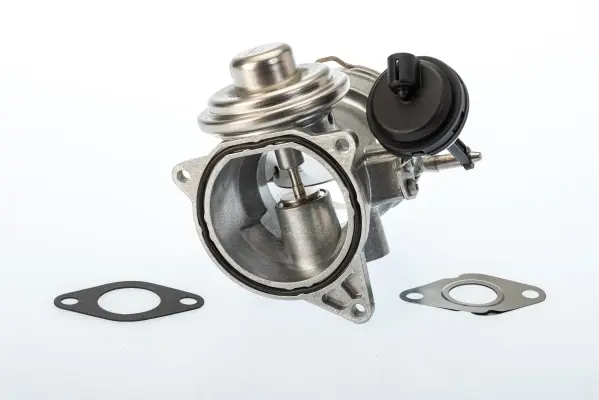 Клапан EGR VW Touareg 2.5 R5 TDI 03-10 WAHLER 7650D (фото 1)