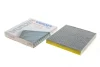 Фільтр салону Opel Astra F/G/H 96- (BEHR) (вугільний) WPK 306 WUNDER FILTER WPK-306 (фото 1)